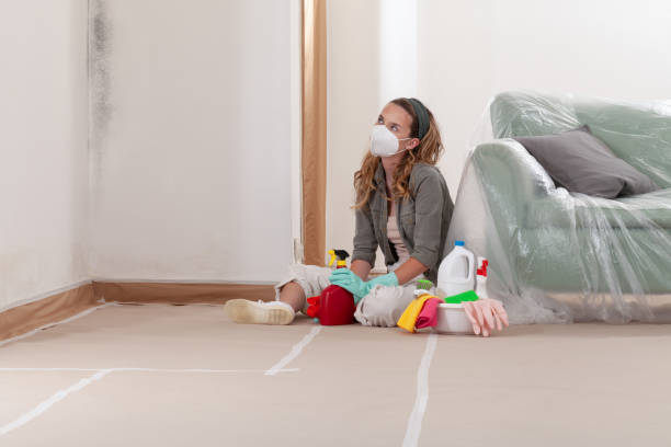 Reliable Hvac And Air Duct Mold Remediation contractor in Farmville, VA by 24 Hour Mold Removal